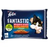 BRIT Care Fillets in Jelly - trout and cod fillets in jelly - wet cat food - 85 g BRIT Care Fillets in Jelly - trout and cod fillets in jelly - wet cat food - 85 g