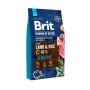 BRIT Premium by Nature Adult Sensitive Lamb and Rice - dry dog food - 8 kg