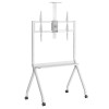 Maclean TV stand / cart, camera shelf, on casters, 55-100
