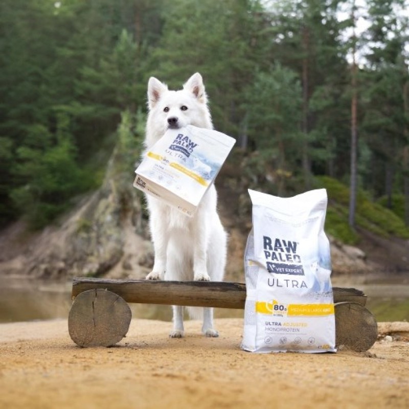 RAW PALEO Ultra Medium&Large Adult Turkey - dry dog food - 10 kg RAW PALEO Ultra Medium&Large Adult Turkey - dry dog food - 10 kg