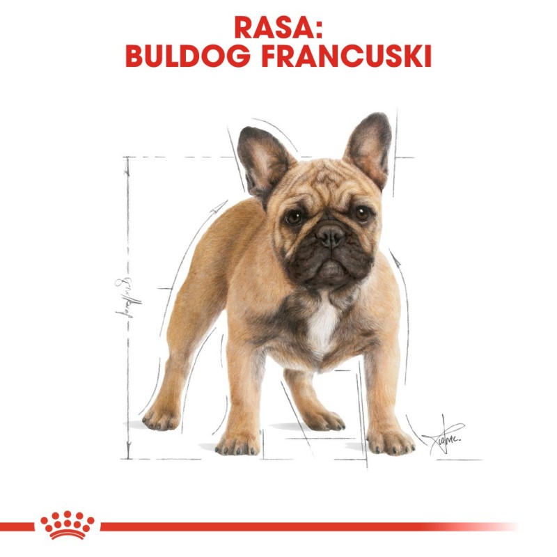 ROYAL CANIN Sterilised 7+ - dry cat food - 10 kg ROYAL CANIN Sterilised 7+ - dry cat food - 10 kg