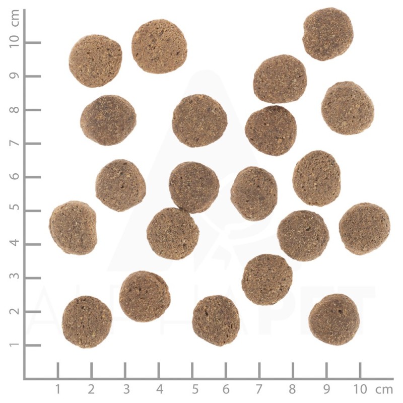 Royal Canin SHN Maxi Adult 4kg