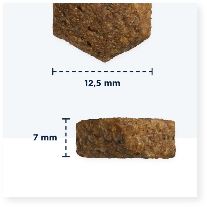 EUKANUBA Premium Grain Free Puppy Medium & Large Ocean fish - dry dog food - 3kg EUKANUBA Premium Grain Free Puppy Medium & Large Ocean fish - dry dog food - 3kg