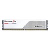 G.Skill Ripjaws S5 F5-5200J4040A48GX2-RS5W memory module 96 GB 2 x 48 GB DDR5 5200 MHz