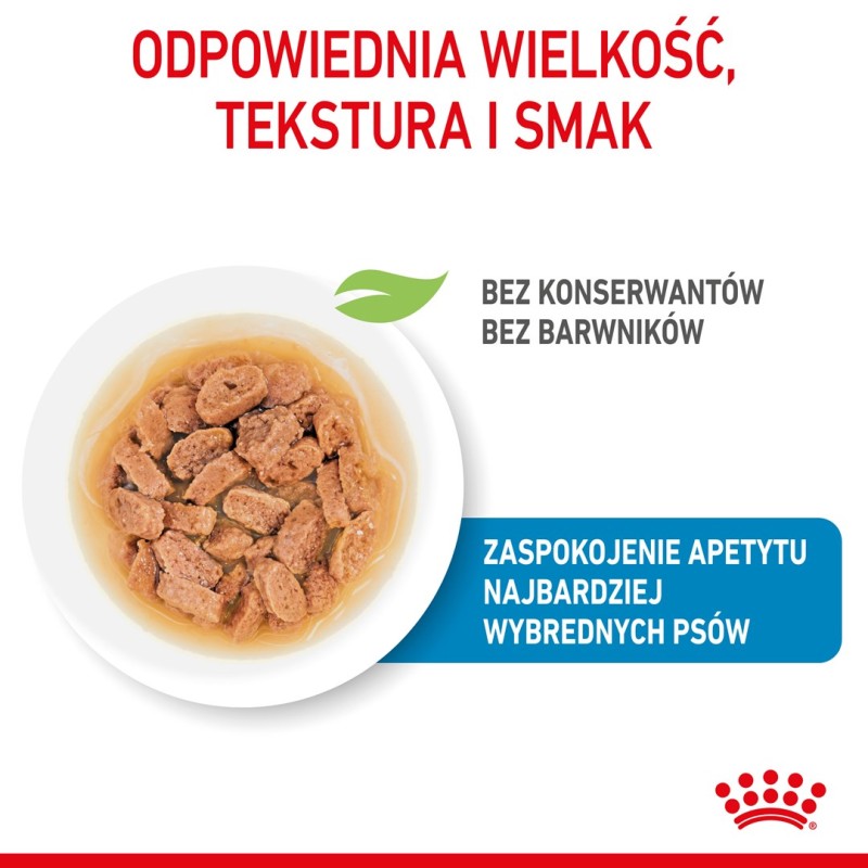 ROYAL CANIN SHN Mini Puppy in sauce - wet puppy food - 12X85g ROYAL CANIN SHN Mini Puppy in sauce - wet puppy food - 12X85g