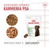 BULT Jelito cienkie wieprzowe dla psa 100g BULT Jelito cienkie wieprzowe dla psa 100g