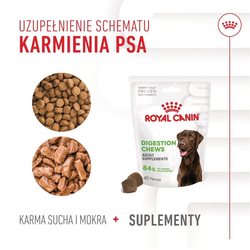 BULT Jelito cienkie wieprzowe dla psa 100g BULT Jelito cienkie wieprzowe dla psa 100g
