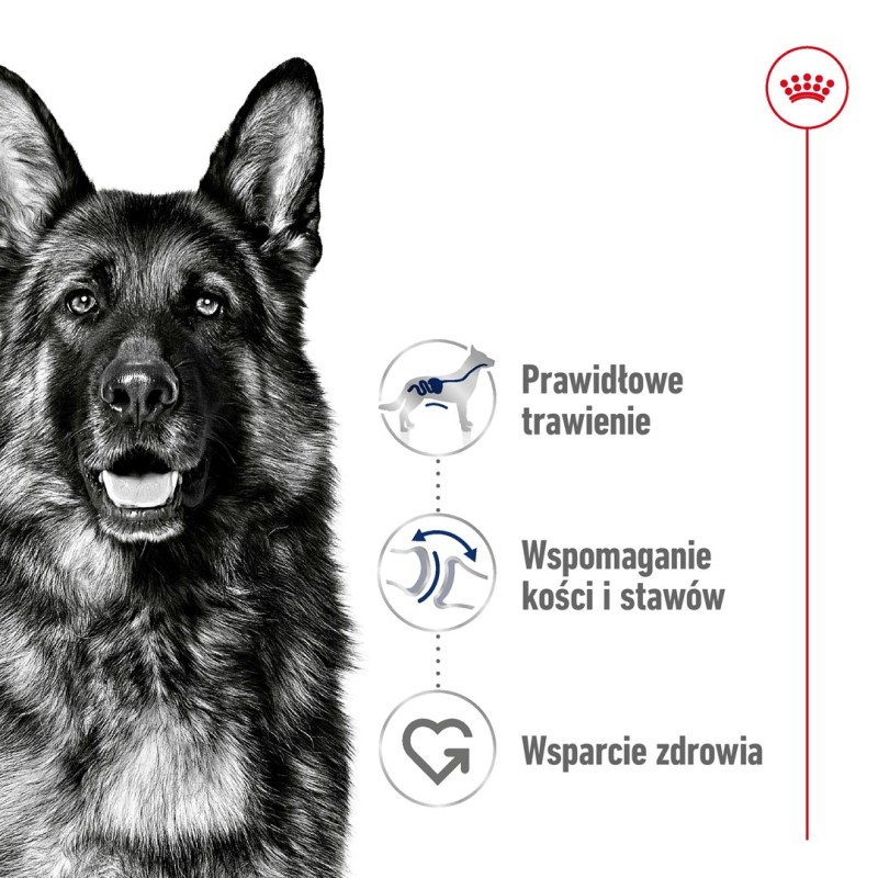 ROYAL CANIN Maxi Adult - dry dog food - 15 kg ROYAL CANIN Maxi Adult - dry dog food - 15 kg