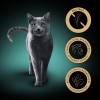 WHISKAS poultry fritters junior poultry, duck, turkey, chicken - wet cat food - 12x85 g WHISKAS poultry fritters junior poultry, duck, turkey, chicken - wet cat food - 12x85 g