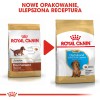 Food Royal Canin SHN Breed Dachshund Jun 1.5 kg Food Royal Canin SHN Breed Dachshund Jun 1.5 kg