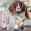 JM SANTE VET PROTECTOR GASTRO - MAŚLAN 60 ml JM SANTE VET PROTECTOR GASTRO - MAŚLAN 60 ml