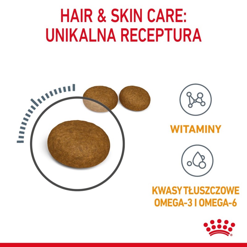 Royal Canin Hair & Skin Care cats dry food 4 kg Adult Royal Canin Hair & Skin Care cats dry food 4 kg Adult