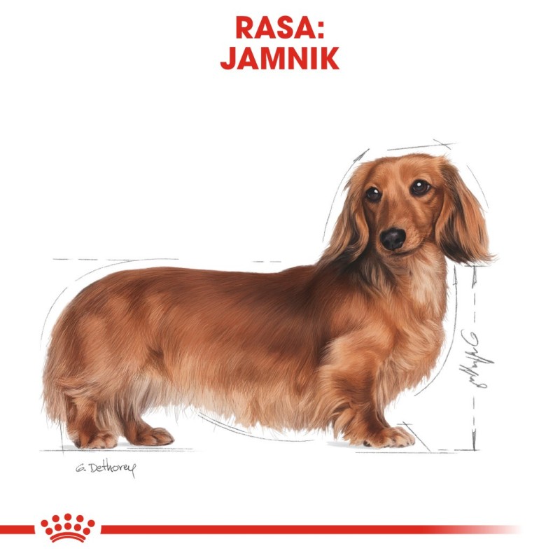 VERSELE LAGA Nature Cavia - food for domestic cavies - 9 kg VERSELE LAGA Nature Cavia - food for domestic cavies - 9 kg