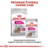 Certech Super Benek White Antibacterial - Cat Litter Clumping 5 l Certech Super Benek White Antibacterial - Cat Litter Clumping 5 l