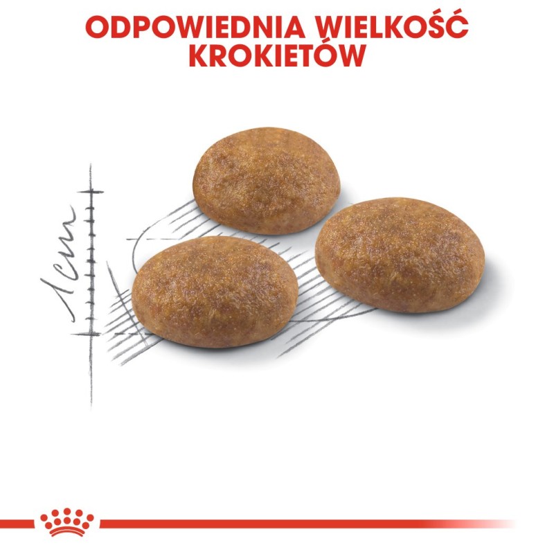 Royal Canin Outdoor dry cat food 2 kg Royal Canin Outdoor dry cat food 2 kg