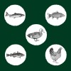 EDEN Original Cousine - dry cat food - 10 kg