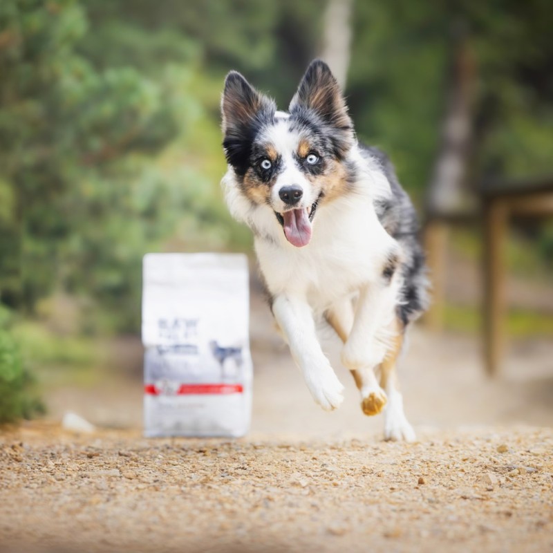 RAW PALEO Ultra Medium&Large Puppy Beef - dry food for puppies - 2 kg RAW PALEO Ultra Medium&Large Puppy Beef - dry food for puppies - 2 kg