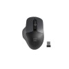 Natec Genesis Blackbird 2 mouse RF Wireless Optical 1600 DPI