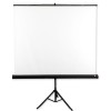 Avtek Tripod Standart 175 projection screen 1:1