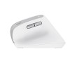Trust Bayo II mouse Office Right-hand RF Wireless Optical 2400 DPI Trust Bayo II mouse Office Right-hand RF Wireless Optical 2400 DPI