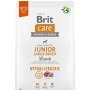 BRIT Care Hypoallergenic Junior Large Breed Lamb - dry dog food - 3 kg