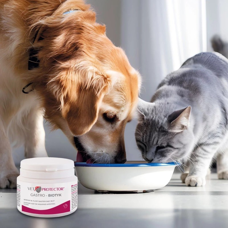 JM SANTE POLISEPT VET PP APTECZKA 100ml+30ml JM SANTE POLISEPT VET PP APTECZKA 100ml+30ml