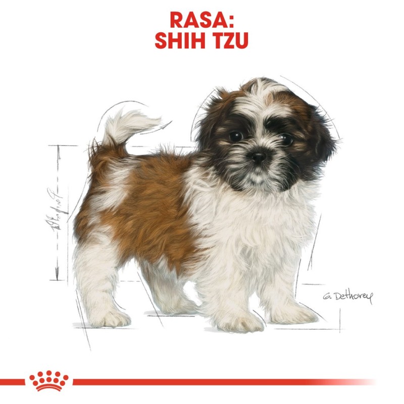 ROYAL CANIN Shih Tzu Puppy - dry dog food - 1,5 kg ROYAL CANIN Shih Tzu Puppy - dry dog food - 1,5 kg