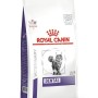 ROYAL CANIN Dental - dry cat food - 1.5 kg