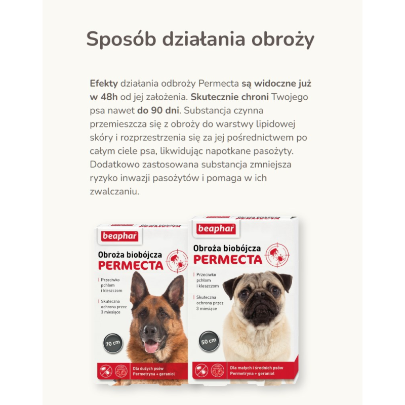 BOZITA Large Wheat free Salmon - dry food for large and long haired cats - 2kg BOZITA Large Wheat free Salmon - dry food for large and long haired cats - 2kg