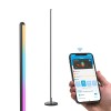 Govee LED Floor Lamp Smart floor lighting Wi-Fi/Bluetooth Govee LED Floor Lamp Smart floor lighting Wi-Fi/Bluetooth