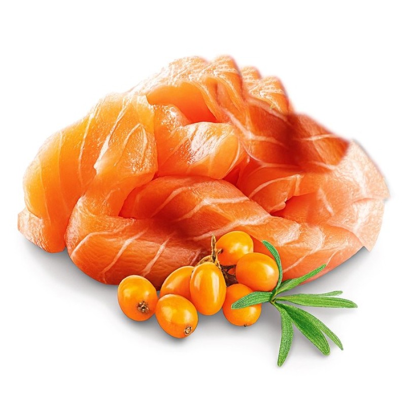 SHELMA Kitten with salmon in sauce - wet cat food - 85g