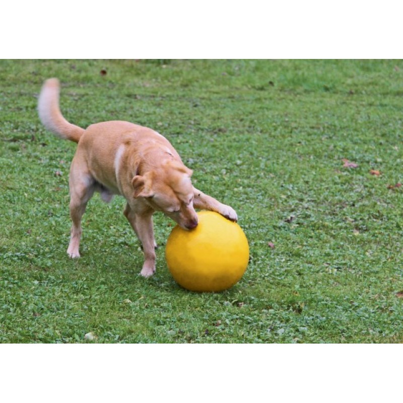 KERBL Durable, Large Interactive, Floating Ball - Dog Toy - 30 cm KERBL Durable, Large Interactive, Floating Ball - Dog Toy - 30 cm