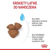 Royal Canin Mini Starter Mother & Babydog Adult Poultry 1 kg Royal Canin Mini Starter Mother & Babydog Adult Poultry 1 kg