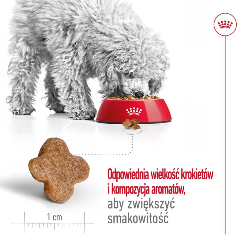 Royal Canin Mini Adult 8+ 8 kg Senior Poultry, Rice, Vegetable Royal Canin Mini Adult 8+ 8 kg Senior Poultry, Rice, Vegetable