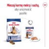 BOSCH Sanabelle Sensitive Lamb - dry cat food - 10 kg BOSCH Sanabelle Sensitive Lamb - dry cat food - 10 kg