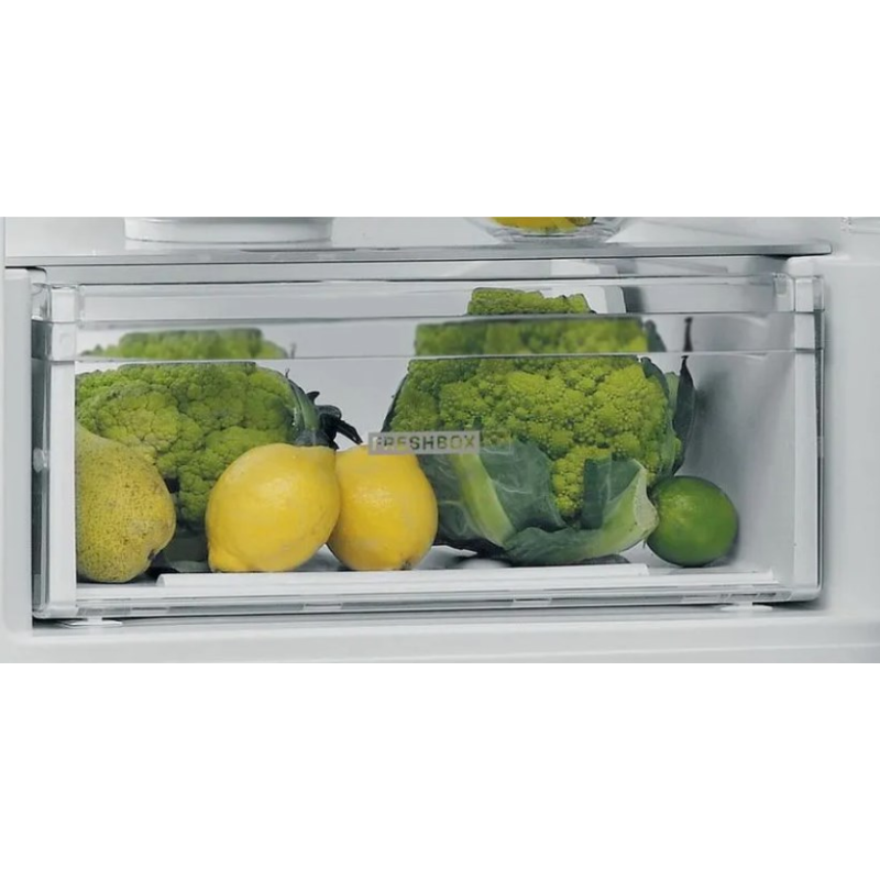 WMF KULT X electric food chopper 1.25 L Black,Chrome,Transparent 80 W WMF KULT X electric food chopper 1.25 L Black,Chrome,Transparent 80 W