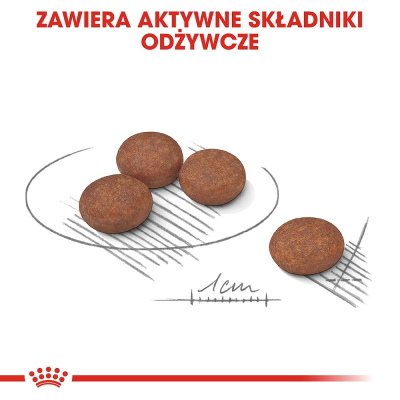 ROYAL CANIN CCN Mini Digestive Care - dry dog food - 3 kg ROYAL CANIN CCN Mini Digestive Care - dry dog food - 3 kg