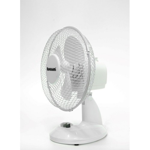 Desktop Fan Ravanson WT-1023 (white)
