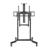 Gembird Stojak pod tv z regulacj wysokoci mobilny 55-100 cali