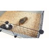 C&C modular cage 5x2 pig rabbit hedgehog silver 180 x 75 x 37 cm C&C modular cage 5x2 pig rabbit hedgehog silver 180 x 75 x 37 cm