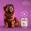 OLLO Umami Lamb and beef - wet dog food - 850g OLLO Umami Lamb and beef - wet dog food - 850g