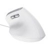 Trust Bayo II mouse Office Right-hand USB Type-A Optical 2400 DPI Trust Bayo II mouse Office Right-hand USB Type-A Optical 2400 DPI