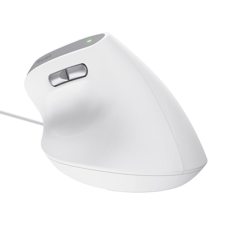 Trust Bayo II mouse Office Right-hand USB Type-A Optical 2400 DPI Trust Bayo II mouse Office Right-hand USB Type-A Optical 2400 DPI
