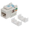 Intellinet Keystone Jack, Cat5e, UTP, Punch-down, White