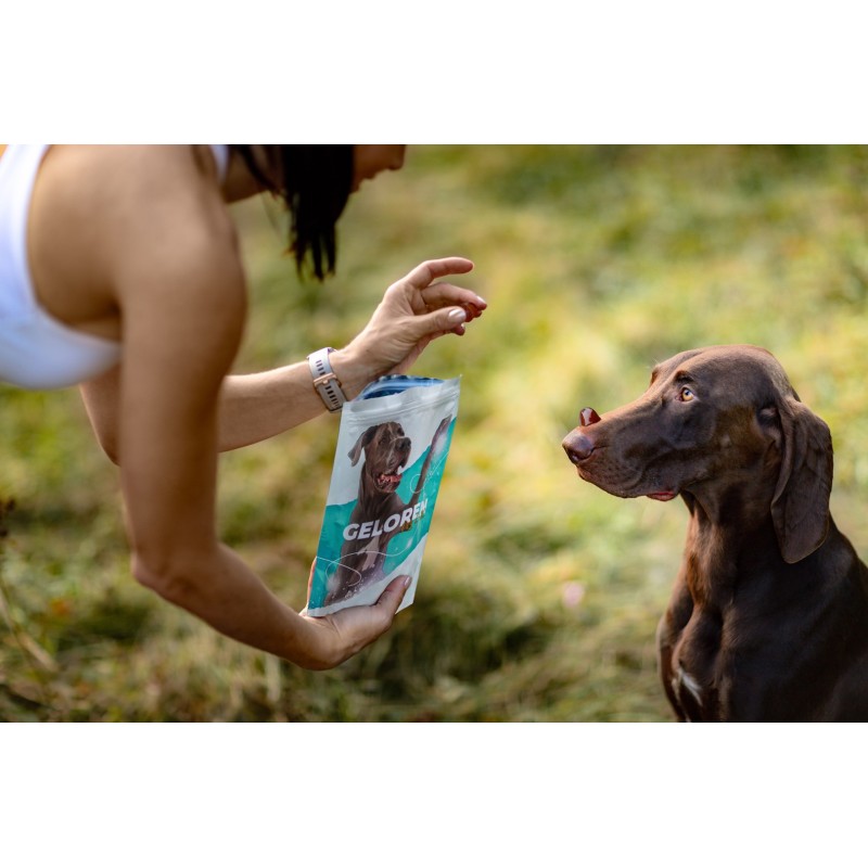GELOREN Large dog Joints - dog vitamins - 420g GELOREN Large dog Joints - dog vitamins - 420g