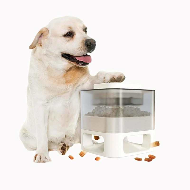 EUKANUBA Adult Small&Medium Salmon - dry dog food - 12kg EUKANUBA Adult Small&Medium Salmon - dry dog food - 12kg