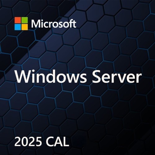 MS Windows Svr CAL 2025 PL Clt Device CAL OEM MS Windows Svr CAL 2025 PL Clt Device CAL OEM