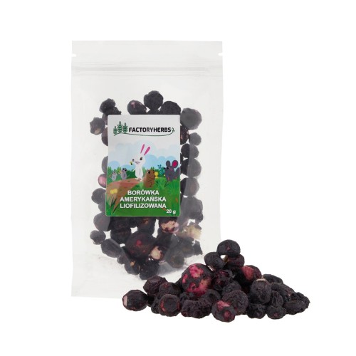 FACTORY HERBS Freeze-dried blueberries - treat for rodents and rabbits - 10g FACTORY HERBS Freeze-dried blueberries - treat for rodents and rabbits - 10g