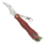 SCK Mushrooms CC-GC105 Mushroom Maker's knife with compass Brown