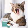 JM SANTE VET PROTECTOR GASTRO - MAŚLAN 60 ml JM SANTE VET PROTECTOR GASTRO - MAŚLAN 60 ml
